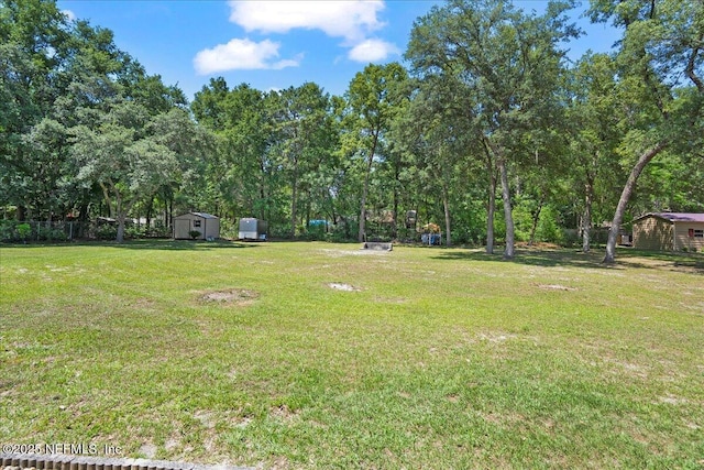 4310 Chokeberry Rd, Middleburg, FL 32068 - view of green lawn featuring a storage shed and an outbuilding
