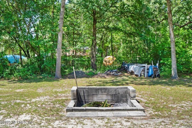 4310 Chokeberry Rd, Middleburg, FL 32068 - view of green lawn