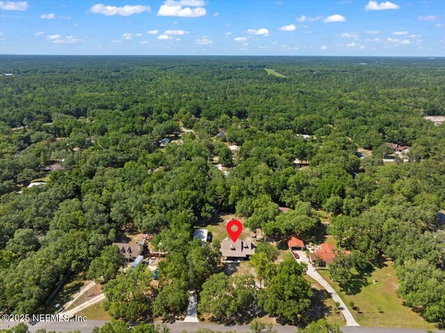 4310 Chokeberry Rd, Middleburg, FL 32068 - view of property location with a forest