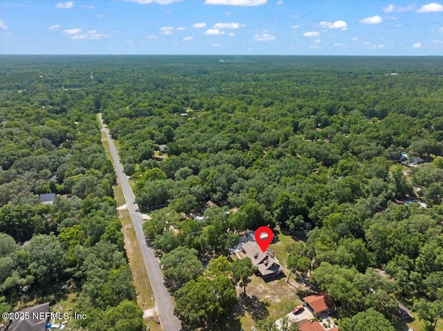 4310 Chokeberry Rd, Middleburg, FL 32068 - drone / aerial view of a forest