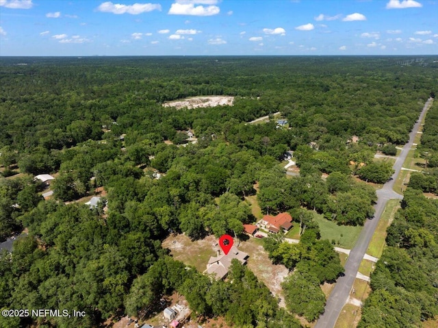 4310 Chokeberry Rd, Middleburg, FL 32068 - aerial view of property's location featuring a forest