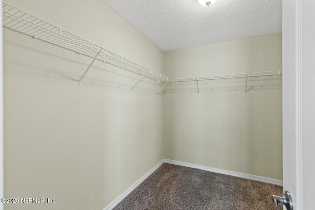 spacious closet featuring dark colored carpet