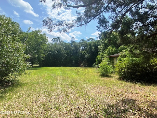 4525 Zambito Ave, Jacksonville, FL 32210 - photo 8
