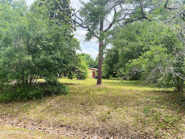 4525 Zambito Ave, Jacksonville, FL 32210 - photo 3