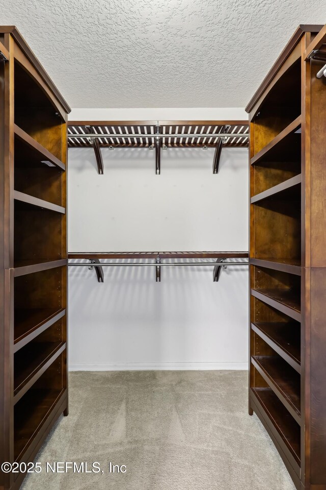 76466 Long Leaf Loop, Yulee, FL 32097 - spacious closet with carpet flooring