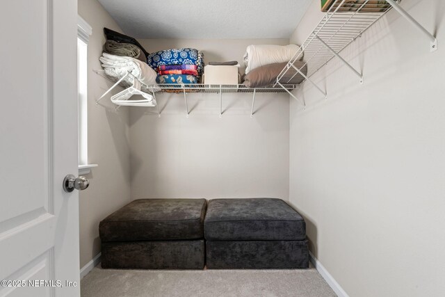 12657 Josslyn Ln, Jacksonville, FL 32246 - photo 34