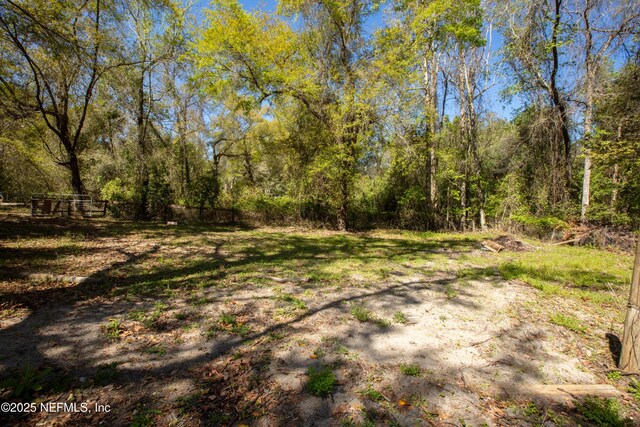 112 Sculpin Dr, Florahome, FL 32140 - view of wooded area