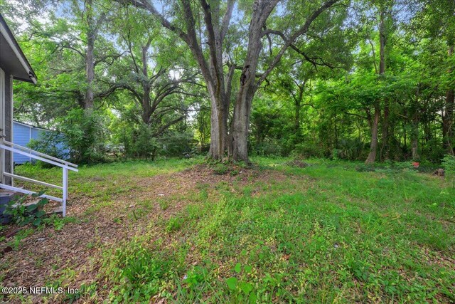 2058 W 40th St, Jacksonville, FL 32209 - view of yard