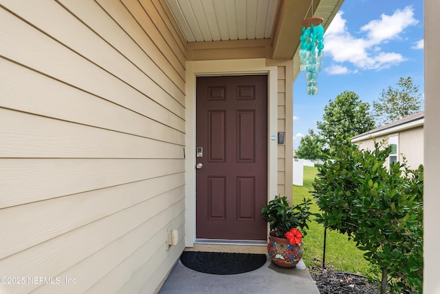 2840 Buck Creek Pl, Green Cove Springs, FL 32043 - view of doorway to property