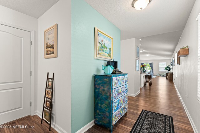 2840 Buck Creek Pl, Green Cove Springs, FL 32043 - hall with wood finished floors, baseboards, and a textured ceiling