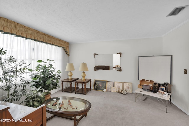 359 Carson Dr, Orange Park, FL 32073 - carpeted living area with ornamental molding
