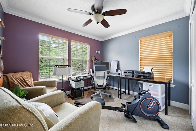85053 Sagaponack Dr, Fernandina Beach, FL 32034 - office space featuring ceiling fan, ornamental molding, carpet flooring, and baseboards