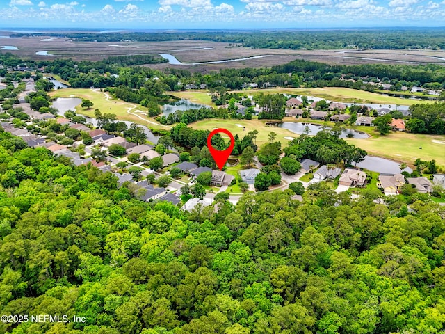 85053 Sagaponack Dr, Fernandina Beach, FL 32034 - aerial view of residential area with a nearby body of water and a local golf course