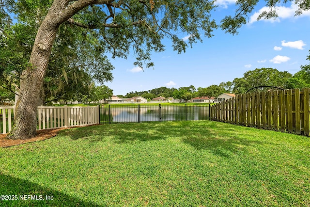 1491 Cedar Grove Ter, Fleming Island, FL 32003 - view of yard featuring a water view