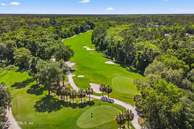 1491 Cedar Grove Ter, Fleming Island, FL 32003 - aerial view of a heavily wooded area and a golf club