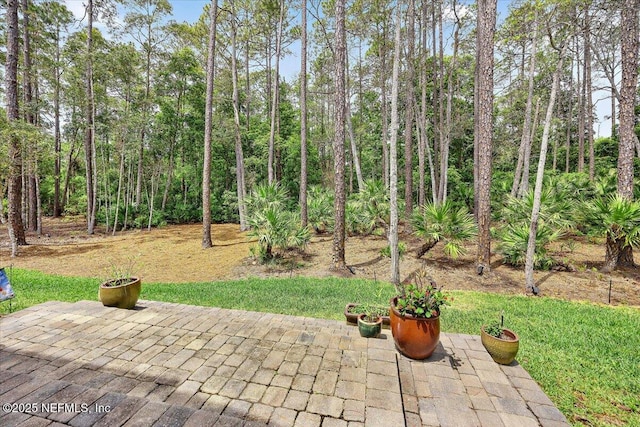 410 Wingstone Dr, Jacksonville, FL 32081 - photo 33