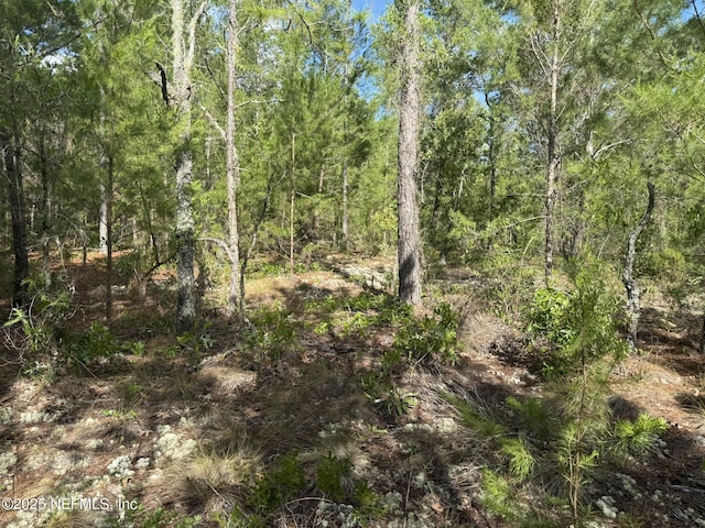 269 Alabama Dr, Hawthorne, FL 32640