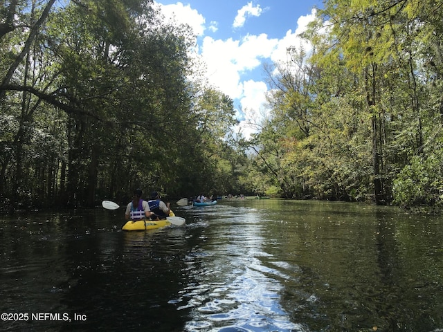 1211 Spring Branch Rd, Saint Johns, FL 32259 - water view featuring a forest