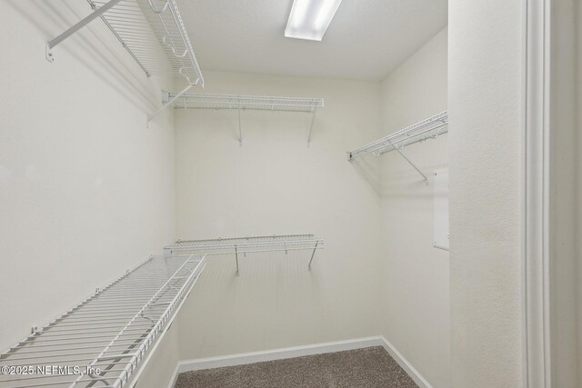 11305 Water Spring Cir, Jacksonville, FL 32256 - photo 28