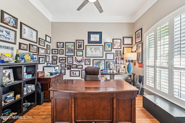 3461 Mainard Branch Ct, Fleming Island, FL 32003 - office space with light wood-type flooring, a ceiling fan, and ornamental molding