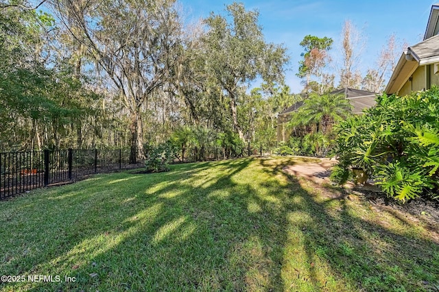 3461 Mainard Branch Ct, Fleming Island, FL 32003 - view of yard