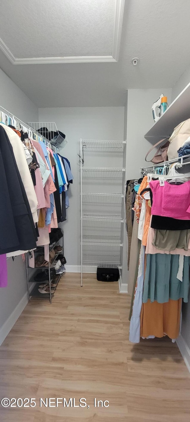 9745 Touchton Rd Unit 1521, Jacksonville, FL 32246 - walk in closet featuring wood finished floors