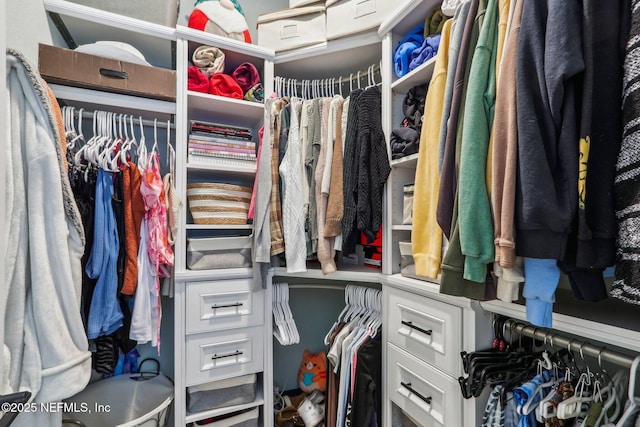 102 Blue Oak Ct, Ponte Vedra, FL 32081 - view of spacious closet