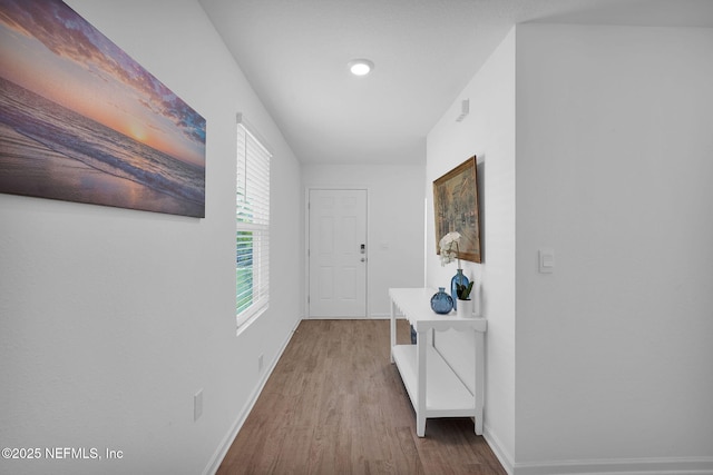 3075 Rustic Deer Way, Green Cove Springs, FL 32043 - hall with wood finished floors and baseboards