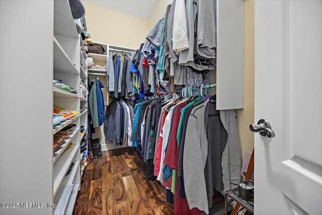 3355 Bishop Estates Rd, Saint Johns, FL 32259 - spacious closet featuring wood finished floors