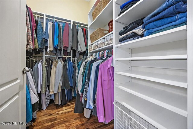 3355 Bishop Estates Rd, Saint Johns, FL 32259 - walk in closet with wood finished floors