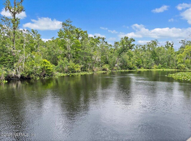 3355 Bishop Estates Rd, Saint Johns, FL 32259 - water view featuring a heavily wooded area