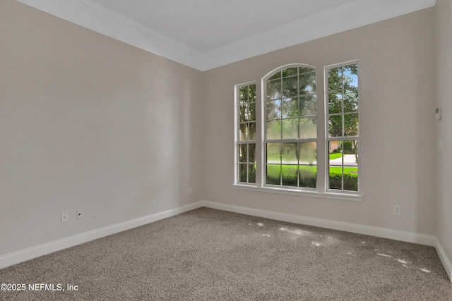 1128 Sandlake Rd, Saint Augustine, FL 32092 - photo 9