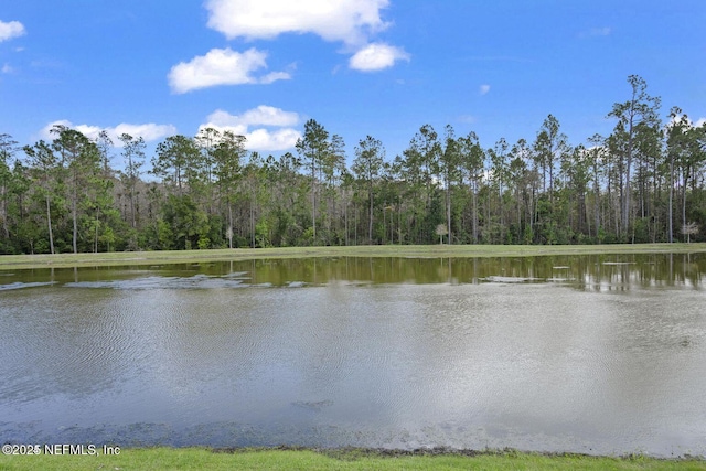 728 Sycamore Way, Orange Park, FL 32073