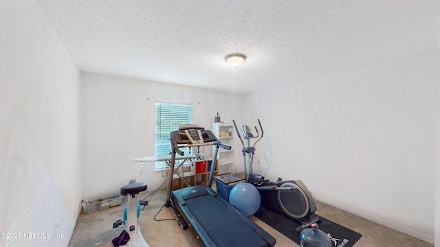 124 Lindsay Dr, Palm Coast, FL 32137 - workout area with a textured ceiling and carpet floors