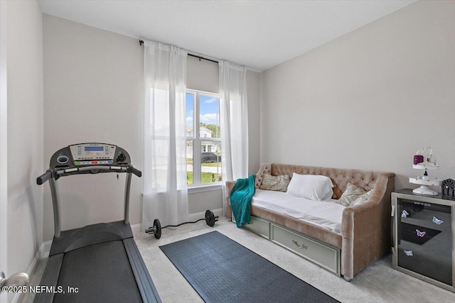 45 Waterwheel Ct, Saint Johns, FL 32259 - exercise room with carpet and baseboards