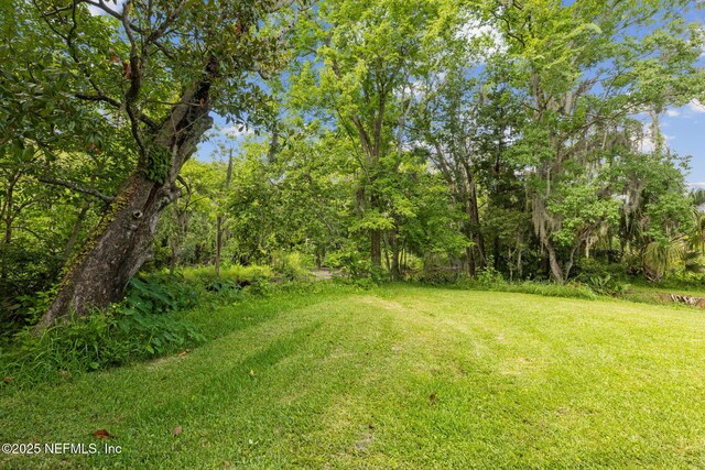 4341 Woodmere St, Jacksonville, FL 32210 - photo 41
