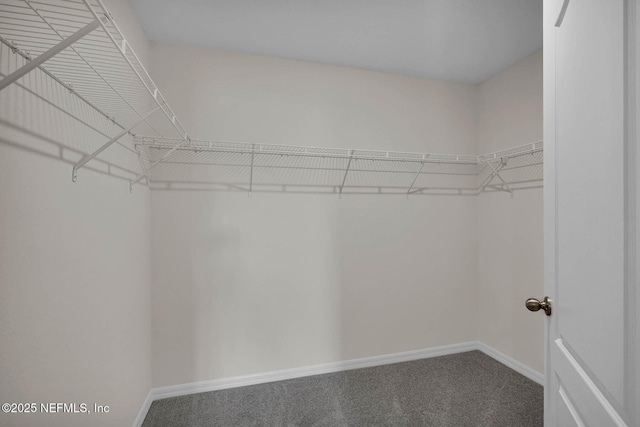 37135 Whippoorwill Ct, Hilliard, FL 32046 - spacious closet with carpet