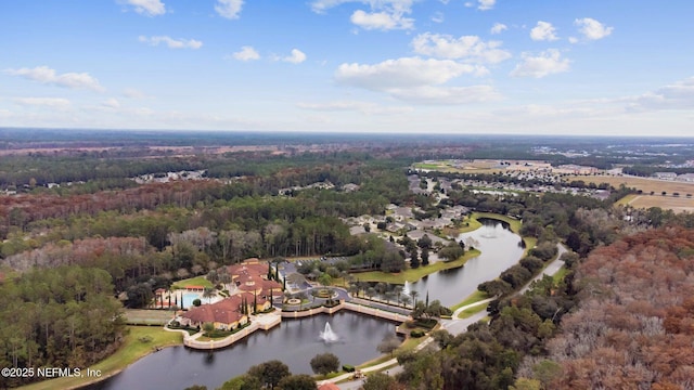 9197 Sweet Berry Ct, Jacksonville, FL 32256 - photo 101