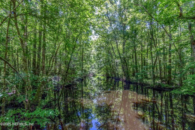 view of woods