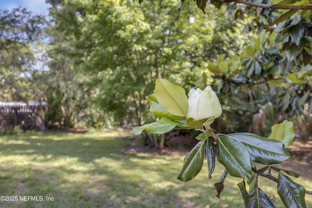 9809 Beauclerc Ter, Jacksonville, FL 32257 - photo 37