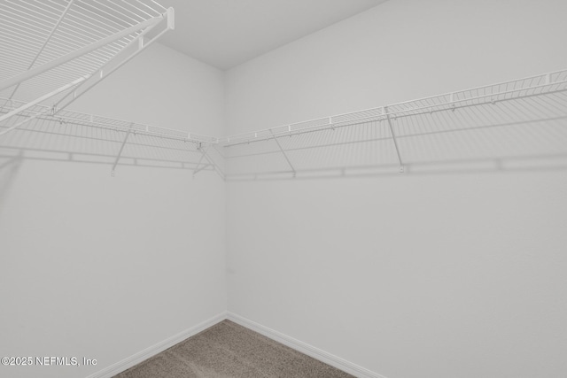37143 Whippoorwill Ct, Hilliard, FL 32046 - spacious closet featuring carpet flooring