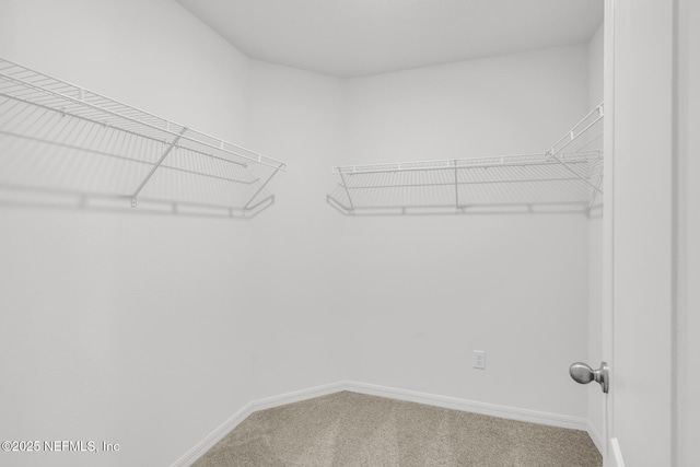 37322 Whisper Way, Hilliard, FL 32046 - walk in closet with carpet flooring