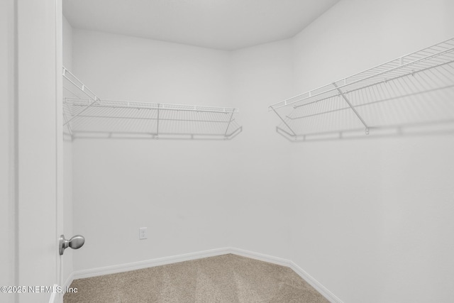 37127 Whippoorwill Ct, Hilliard, FL 32046 - spacious closet featuring carpet floors