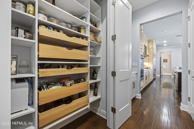 228 Rum Runner Way, Saint Johns, FL 32259 - view of pantry