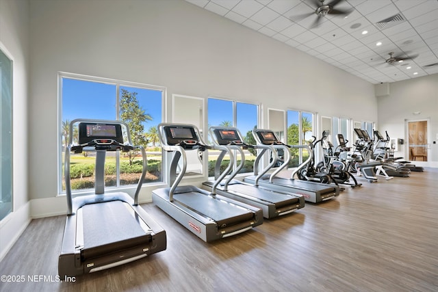 228 Rum Runner Way, Saint Johns, FL 32259 - workout area featuring a high ceiling, a ceiling fan, wood finished floors, healthy amount of natural light, and a paneled ceiling