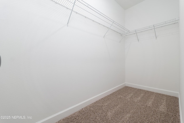 965 Florida St, Fleming Island, FL 32003 - walk in closet featuring carpet