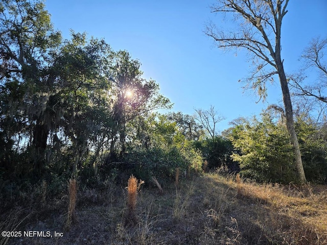 7 N 13th Ter, Fernandina Beach, FL 32034