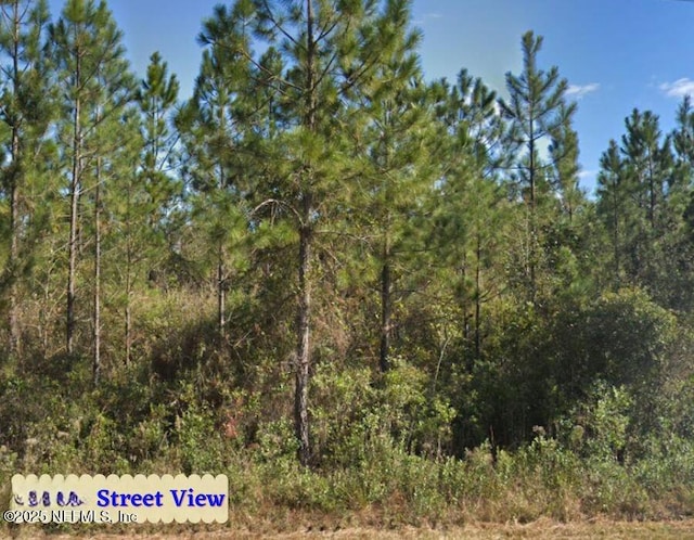 0 Rowe Rd, Hilliard, FL 32046
