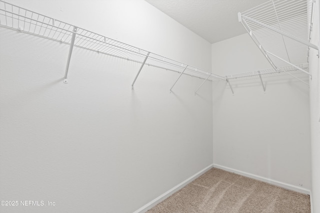 1986 Carter Landing Blvd, Jacksonville, FL 32221 - photo 14