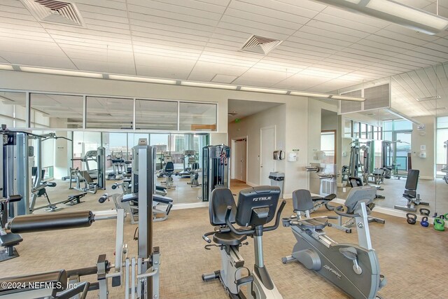 exercise room featuring carpet
